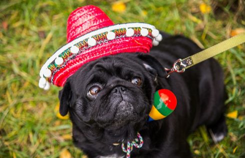 sombrero-pc-cultural-liukov-shutterstock