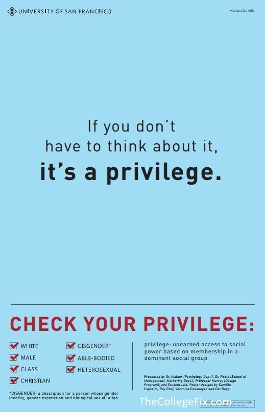 1GeneralPrivilegePoster