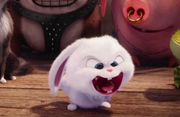 Professor: 'Secret Life of Pets' movie showcases white privilege - The