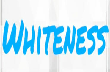 Webster University To Offer Witnessing Whiteness Program - 