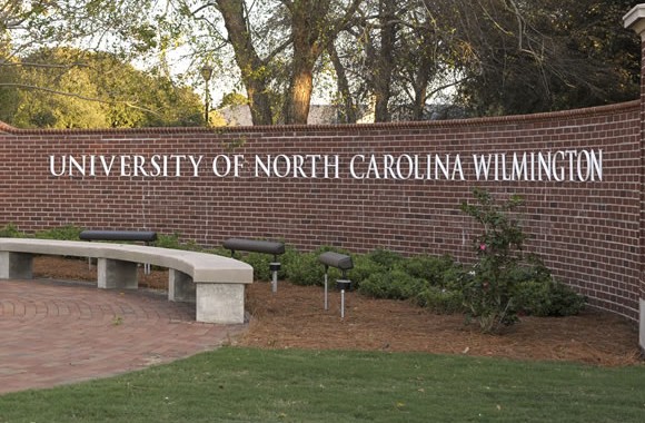 University of North Carolina board repeals DEI mandates for all 17 campuses, DEI jobs on chopping block - Vimarsana News