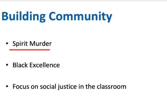 Seattle trains teachers to believe schools ‘murder’ the souls of black children