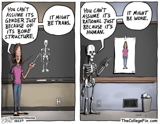 The College Fixs Higher Education Cartoon Of The Week Higheredscience