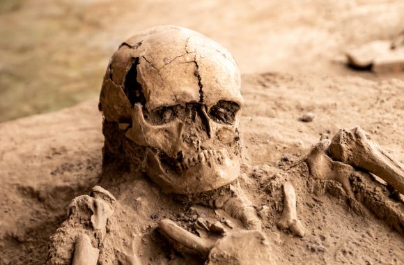 Binghamton archaelogist calls for ‘explicitly queer science’ | The College Fix