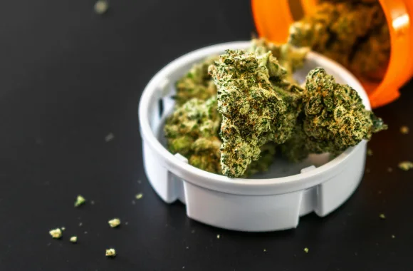 DePaul University trains students on how to run pot shops