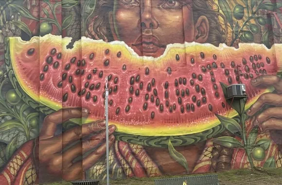 Intersectional conundrum: Palestinian watermelon mural upsets black community
