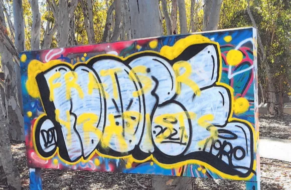 Documents detail ‘hate speech’ complaints over UCSD Graffiti Art Park