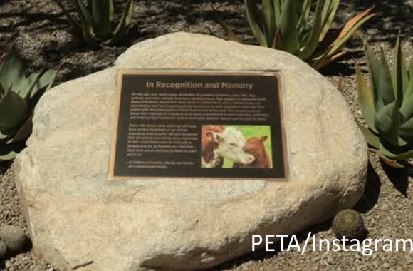 Calif. college installs memorial to animals killed for food
