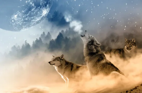 U. Florida offers class on ‘werewolf romance’ and ‘Mexican-American vampires’